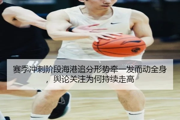赛季冲刺阶段海港追分形势牵一发而动全身，舆论关注为何持续走高 - rb88